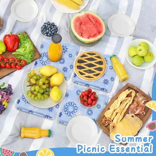 Reallnaive 4 Pcs Reusable Freezable Ice Mat for Buffet Table Chilled Serving Tray Party 9.8 x 9.8 Inches Charcuterie Coole...