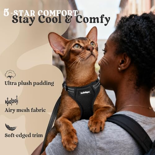 rabbitgoo Cat Harness and Leash, Escape Proof Vest with 3 Adjustable Buckles, Soft Comfortable Kitten Harness, Easy to Wea...