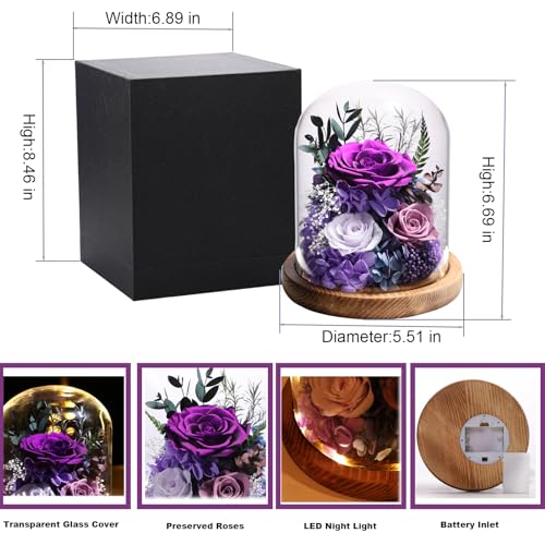 lovenfold Flowers for Delivery Preserved Rose Gifts for Women,Long-Lasting Forever Flowers in Glass Dome, Birthday Gifts f...