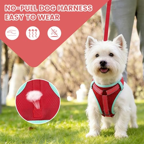 PAWDAY No-Pull Dog Harness with Dog Leash Breathable Mesh Adjustable Soft Padded Pet Vest Reflective for Small/Medium/Larg...