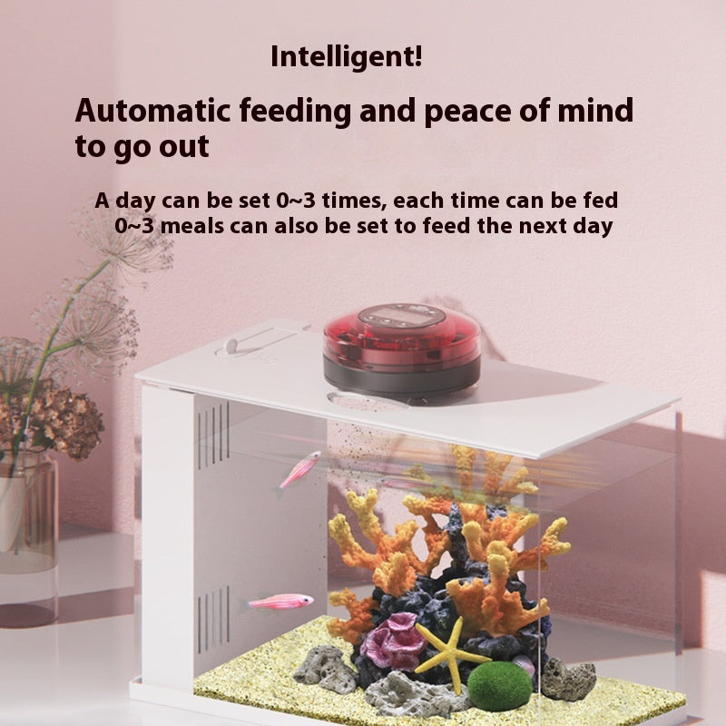 Feeding Artifact Fish Tank Timing Automatic Feeding