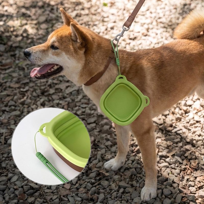 Silicone Foldable Pet Bowl Portable For Outdoor Use