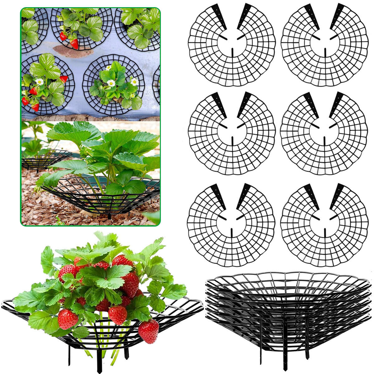 6Pcs Black Strawberry Planting Racks With 3 Fixed Support Legs For Garden Plant Care