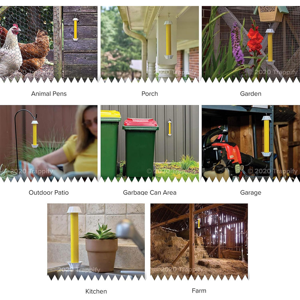 Indoor And Outdoor Sticky Fly Traps,Magic Fly Sticks,Odorless & Safe