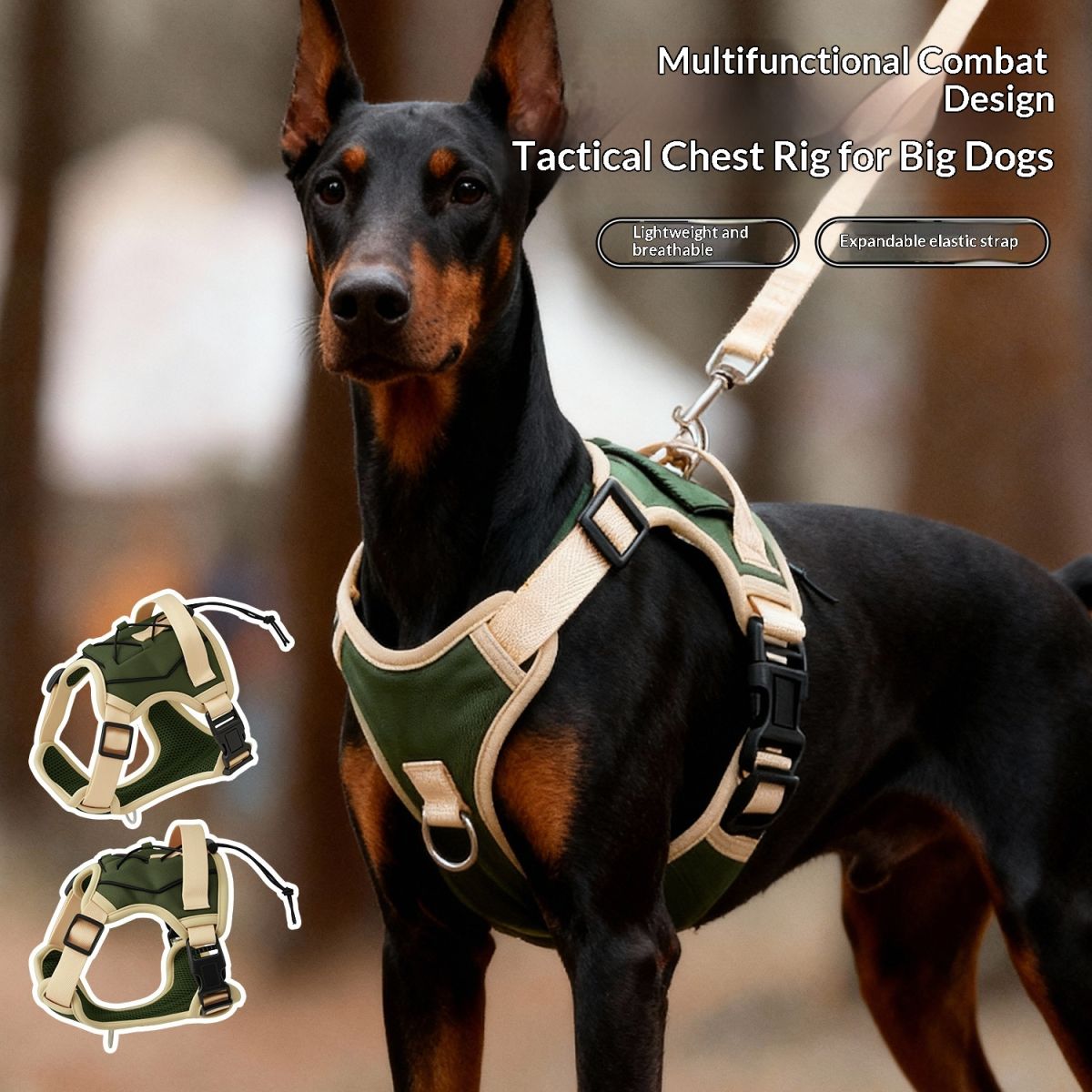 Pet Leash, Specially For Large Dogs