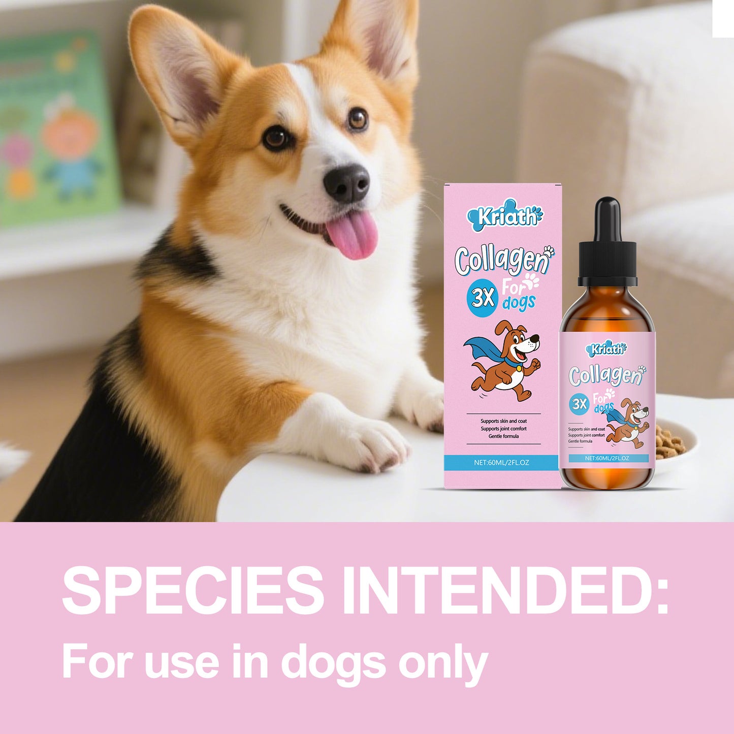 Kriath Pet Dog Nutrition Drops Mild Formula For Fur And Skin Care Main Food With Supplements
