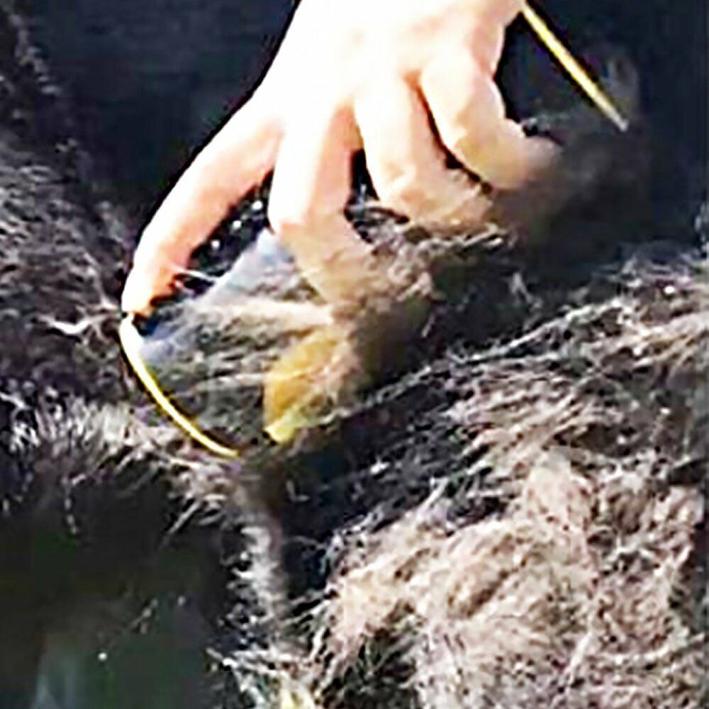 Pet Dog Cat Hair Fur Deshedding Shedding Trimmer Grooming Roll Comb Brush