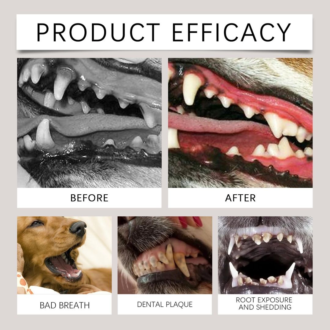 Dog Dental Care Powder Supplement