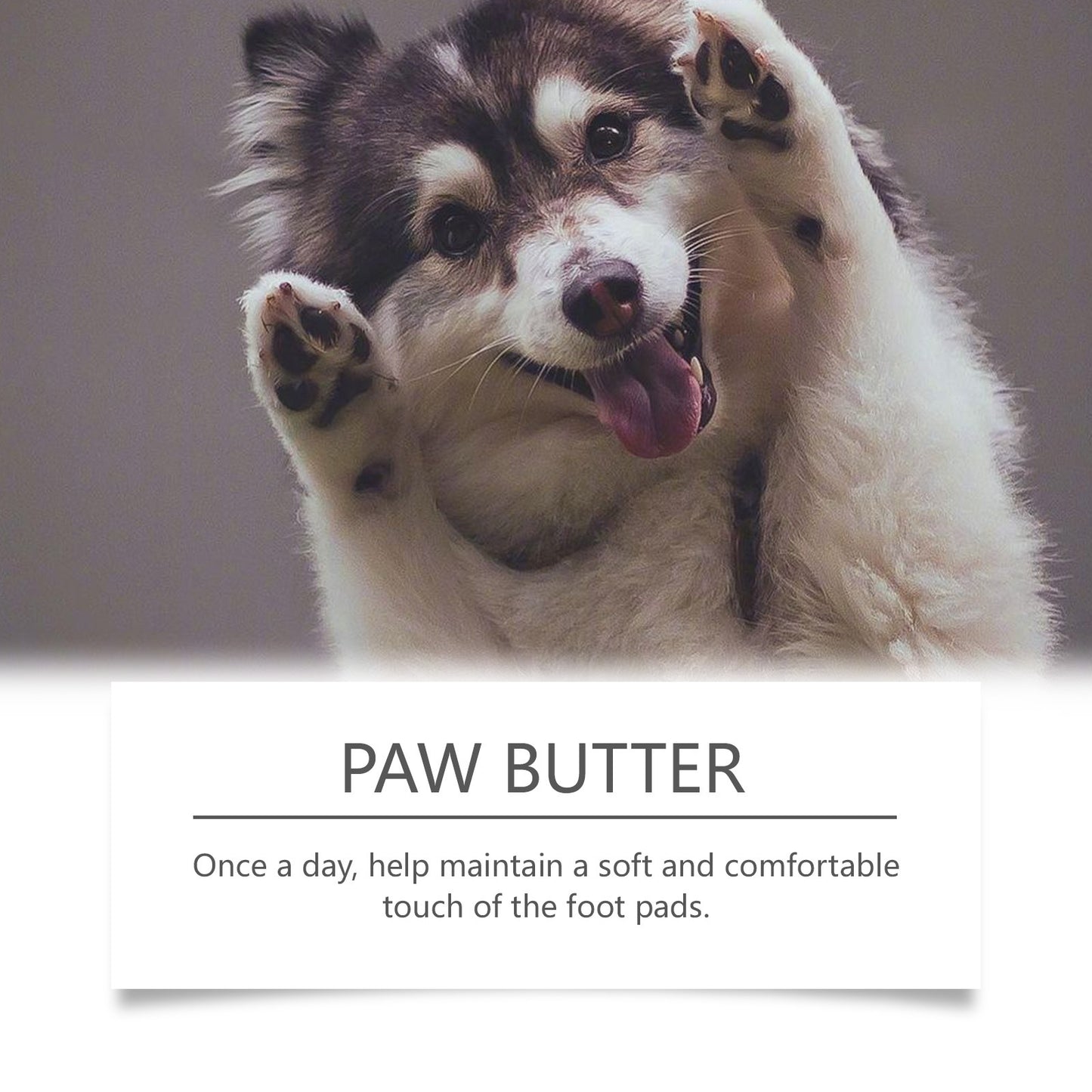 Dog's Paw Soothing, Clean, Moisturizing And Comfortable Care Cream