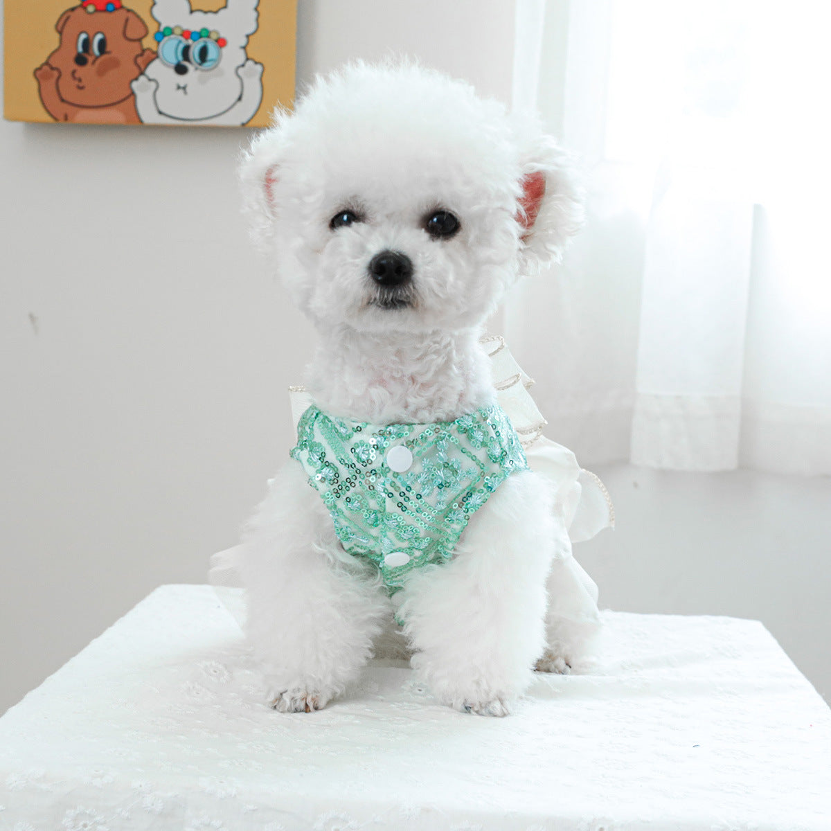 Pet Clothes For Dogs And Cats
