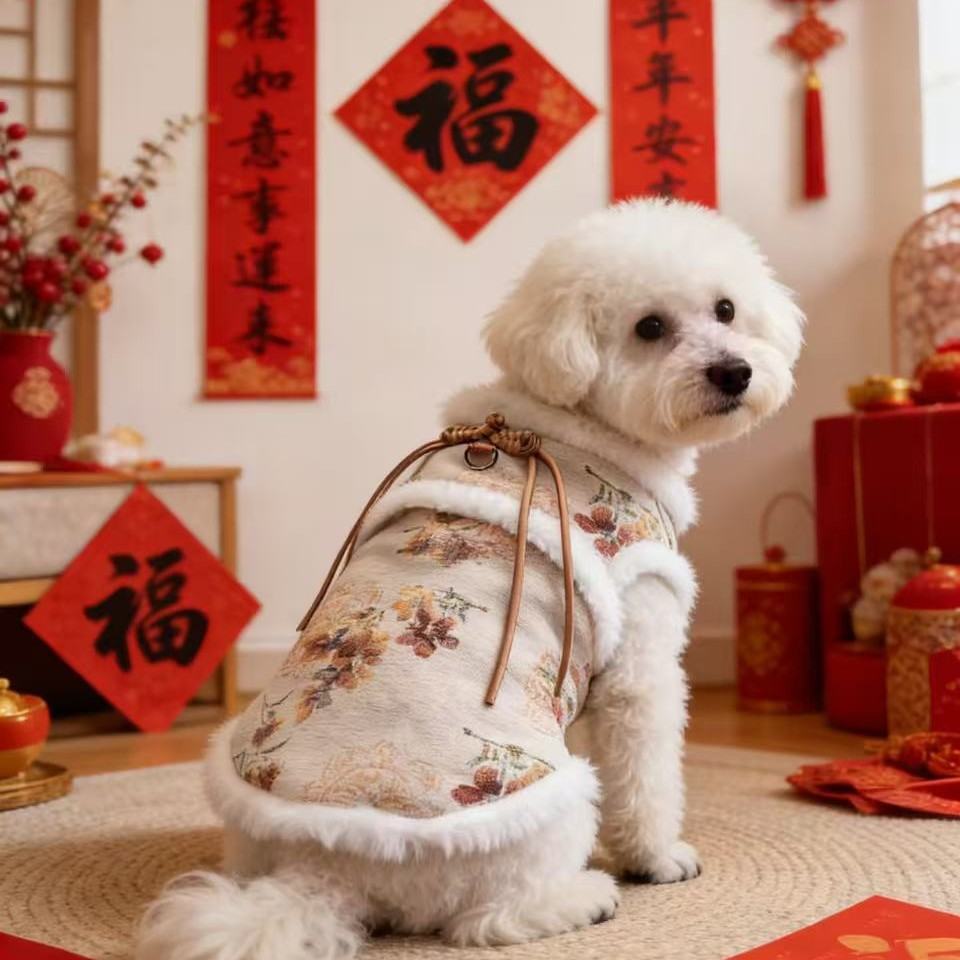 Traditional Chinese-style Vintage-print Pet New Year Outfit