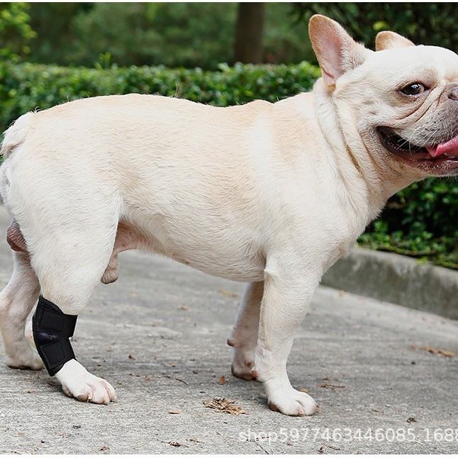 Post Op Recovery Leg Bite Prevention Sleeve For Dogs Pet Supply Short Length Support Strap