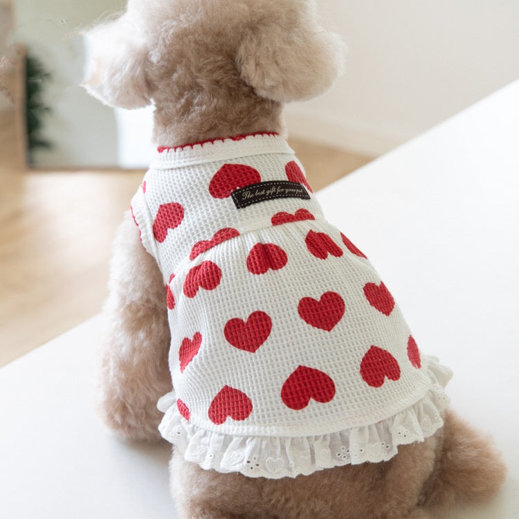 Sun-protection Cute Pet Clothes For Home