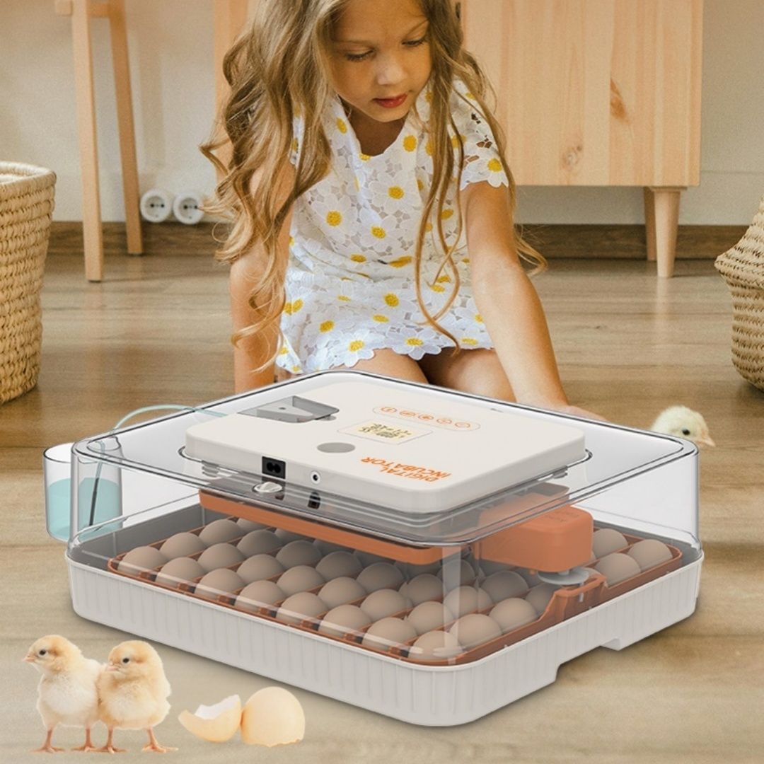New 56-egg Automatic Humidity-control Home Egg Incubator