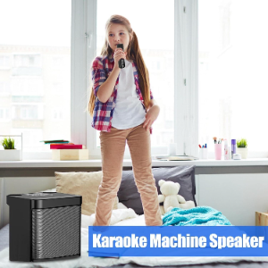 Wireless Bluetooth Karaoke Home Echo System Singing Machine Dual Mic Speaker AU