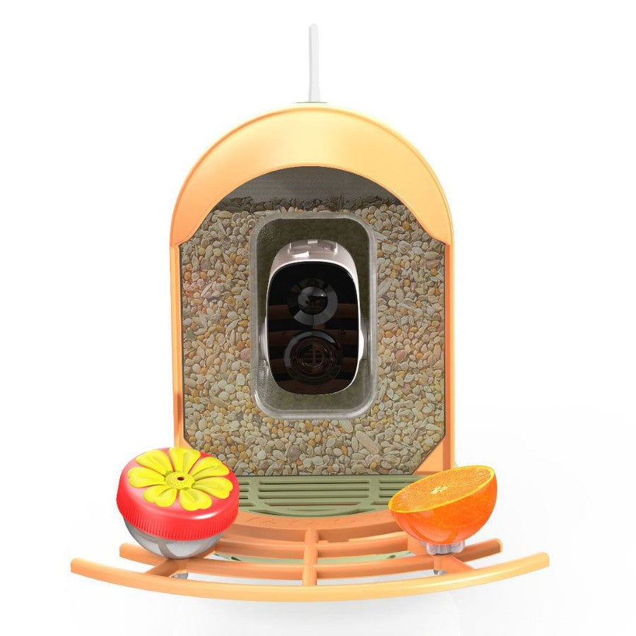 Smart Bird Feeder With AI-powered Camera Outdoor Solar Charging