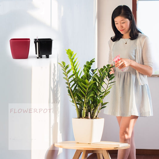 Creative Simple Automatic Water Feeding Flowerpot