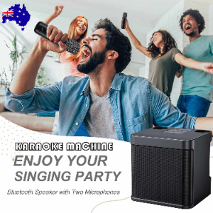Wireless Bluetooth Karaoke Home Echo System Singing Machine Dual Mic Speaker AU