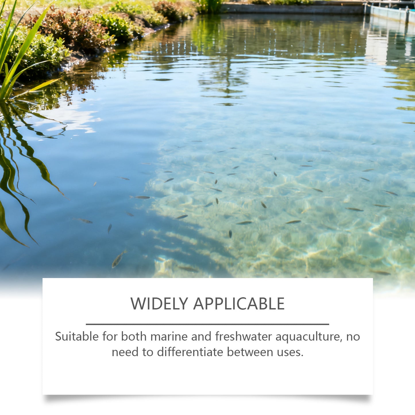 Yegbong Water Purification Powder Purifies Water, Makes It Clear And Long-Lasting, Cleans Household Fish Tanks, And Provides Water Purification Care