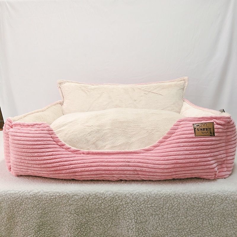 A Cozy Spot for Pets