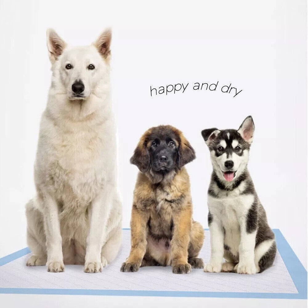 Pet Training Pads Puppy Dog Toilet Thickened Pee Mat Indoor Super Absorbent Pad