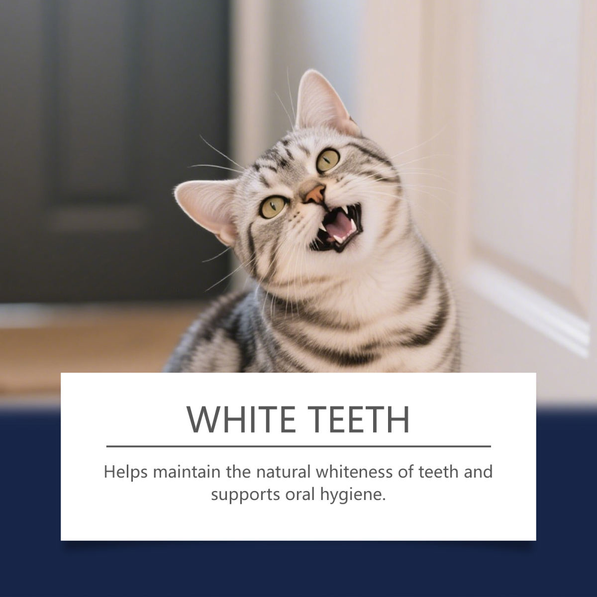 Pet Tooth Cleaning Pen