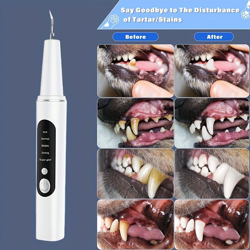 Electric Tooth Cleaner For Pets Removes Stains And Stones From Teeth With 2 Cleaning Heads USB Charger Care Kit To Protect Teeth And Gums