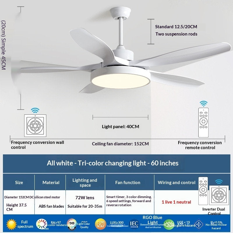 Modern Minimalist Ceiling Fan With Light For Home Use