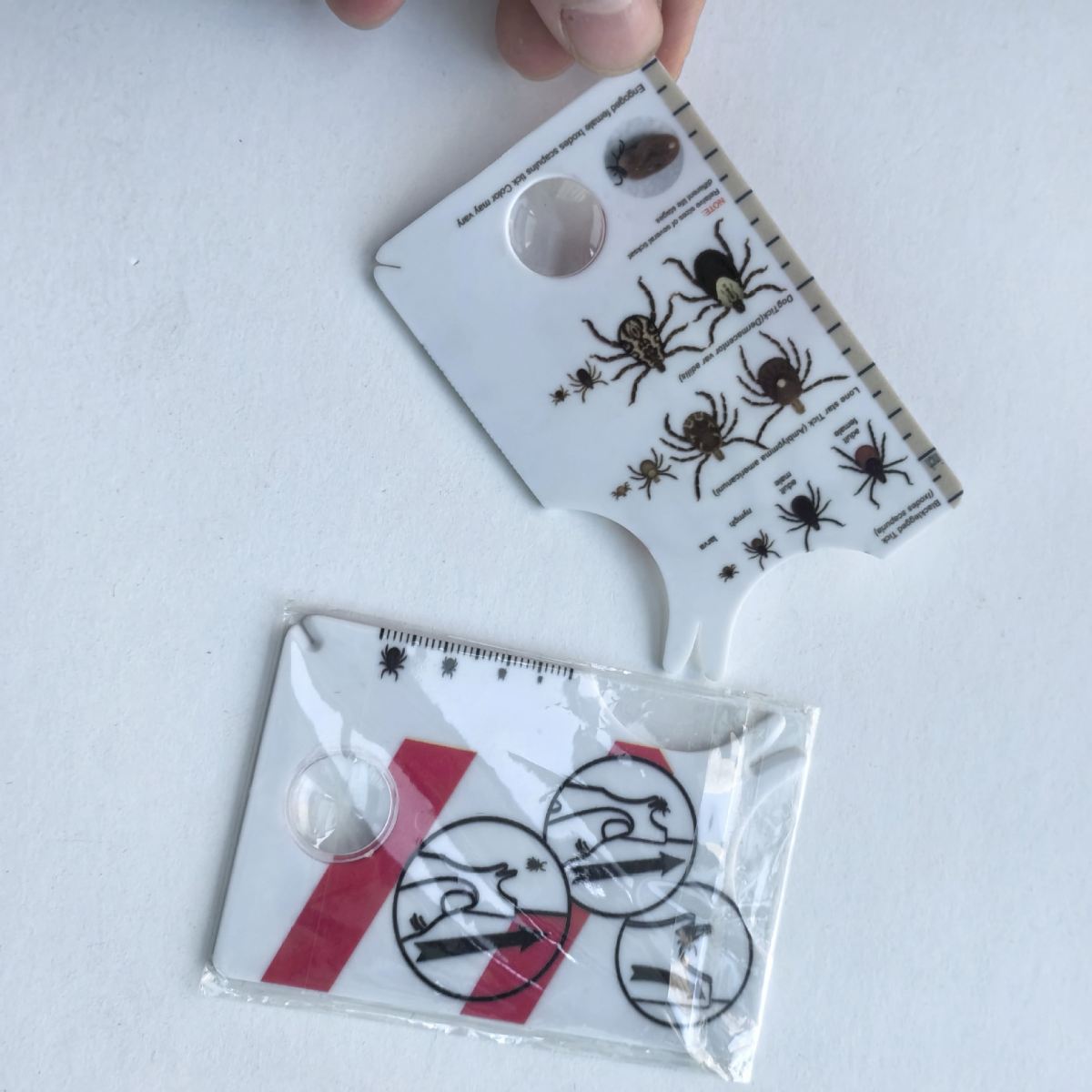 Household Pet In Vitro Insect Catching Card