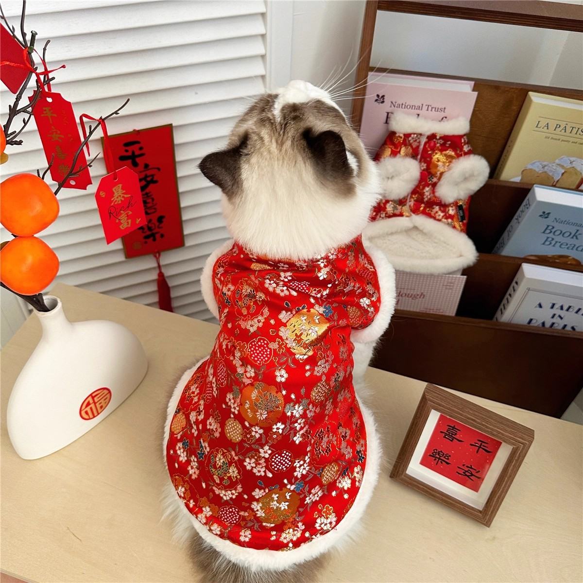 Underwear Ragdoll Silver-shaded Kitten Pet Tang Suit