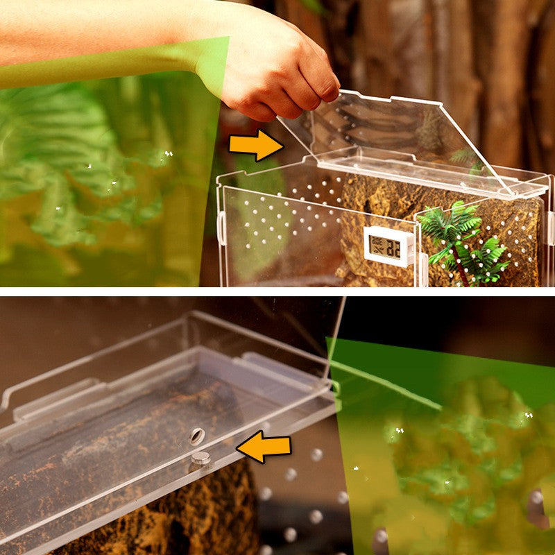 Turtle Snake Transparent Feeding Box