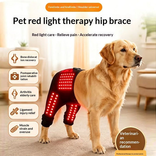 Dual-use Care Band For Pets Front And Rear Limbs And Hips
