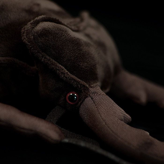 Original Insect Series Stag Beetle Plush Toys
