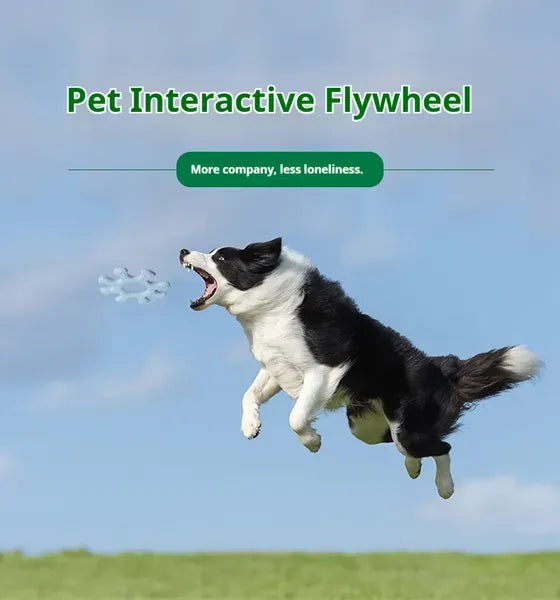 Pet Interactive Flywheel,Dog Toy,Fun Interactions Buildstronger Bonds
