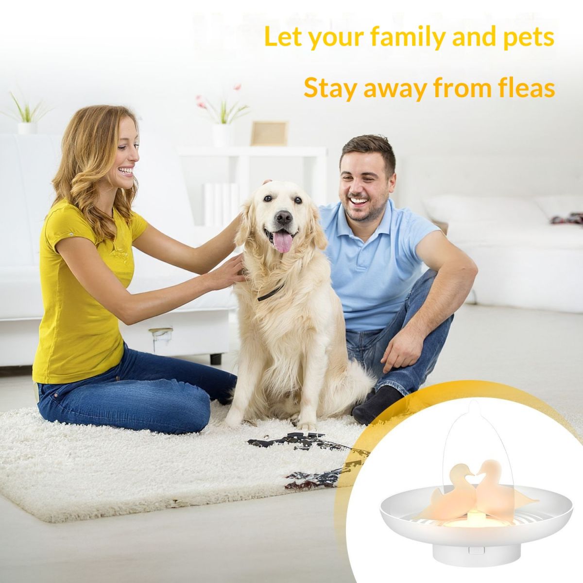 New Household Flea And Pet Attractant Trap Lamp