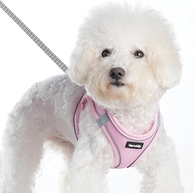 VernAlly Sparkly Dog Harness Small Sized and Leash Set for Small Dogs Cats,Pink XXS Puppy Harness, Step in Soft Dog Reflec...