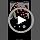 Digital Picture Frame, 10.1 inch Frameo Digital Frame WiFi, 1280 * 800 IPS HD Touchscreen, 32GB Storage, Instant Share Pic...