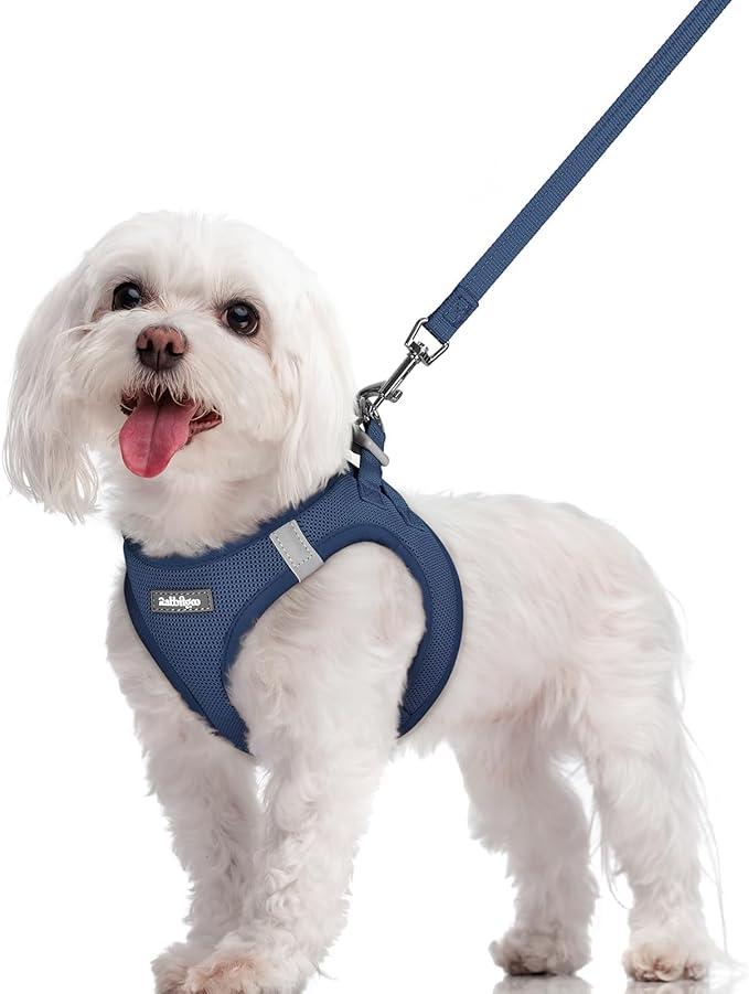rabbitgoo Dog Harness Small Sized and Leash Set, Step in Soft Light Puppy Vest, Breathable Mesh Pet Harness, Reflective fo...