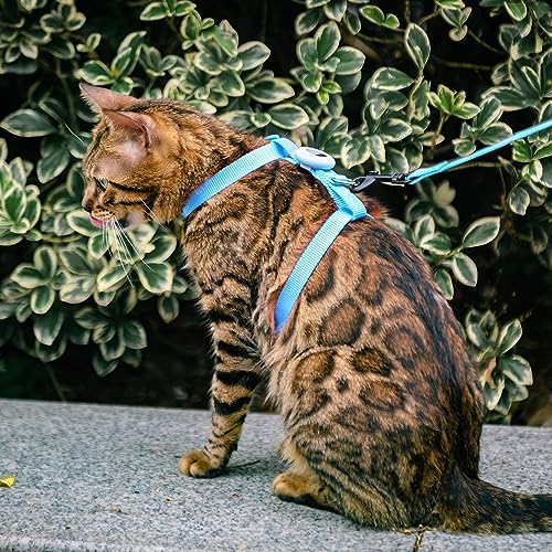 VKPETFR Cat Harness and Leash Set with Airtag Holder for Walking & Travelling, Escape Proof Cat Harness for Small Medium L...