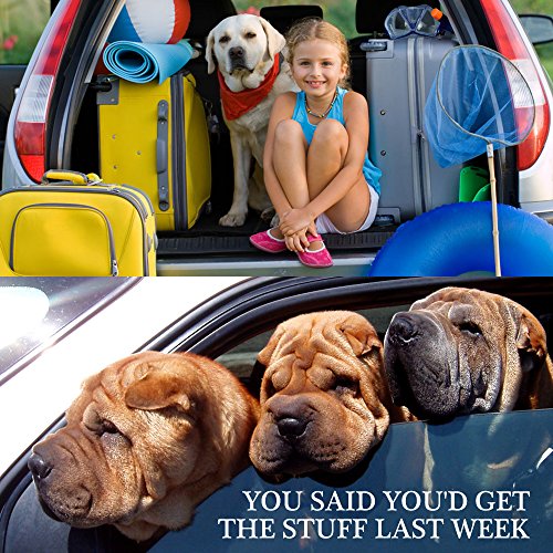 YuCool Dog Seat Belt,4 Piece Set Dog Car Adjustable Seatbelts for Vehicle Nylon Pet Safety Heavy Duty & Elastic Car Harnes...