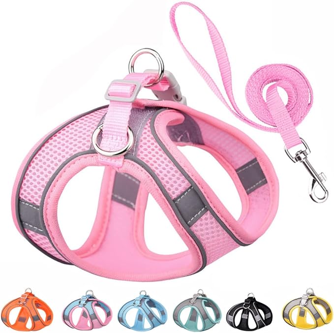 Small Dog Harness and Leash Set, No-Pull Reflective Puppy Harness for Outdoor Walking, Breathable Mesh Girl Cats Vest for ...