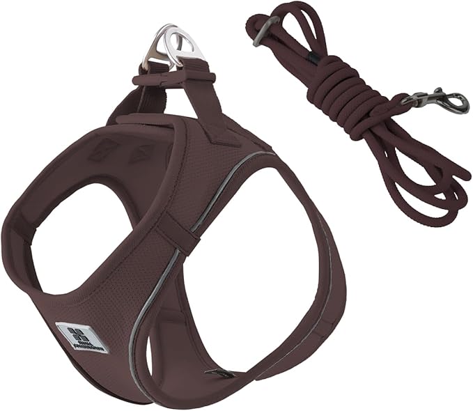 SMALL COMBINATION Adjustable Dog Harness with Leash, Reflective Mesh, No-Pull Design，Matching Lead Rope (Brown, XXXS)