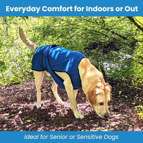 DOGZSTUFF Dog Cooling Vest – Lightweight Evaporative Shirt with UV Protection for Small, Medium, and Large Dogs – Breathab...