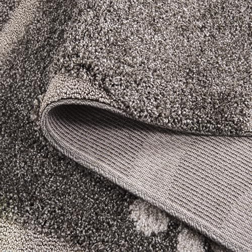 SAFAVIEH Area Rug 8x10 - Florida Shag Collection - Large - Smoke & Beige, Floral Design, Non-Shedding & Easy Cleaning, Plu...