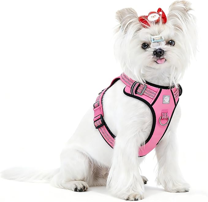 Vest Harness for Dogs - Reflective Adjustable Padding with Easy-On Design & Leash Attachment(S, Hot Pink)