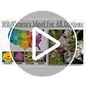 Pack of 20 Pre-Filled Seed Mix Packet Wildflowers Plant for Funerals, Memorial Services in Loving Memory Flower Path Also ...