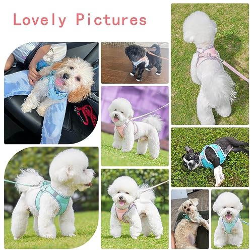 PETPUBGNZS Cute Plaid No Pull Dog Harness for Small Dogs Soft Mesh Small Dog Harness and Leash Set Easy Walk Step in Puppy...
