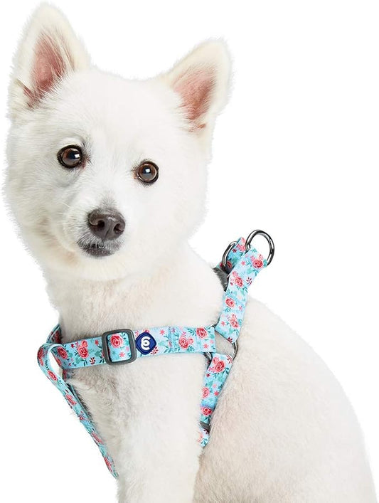 Blueberry Pet Essentials Step-in Spring Scent Inspired Garden Floral Dog Harness in Pastel Blue, Chest Girth 16.5" - 21....