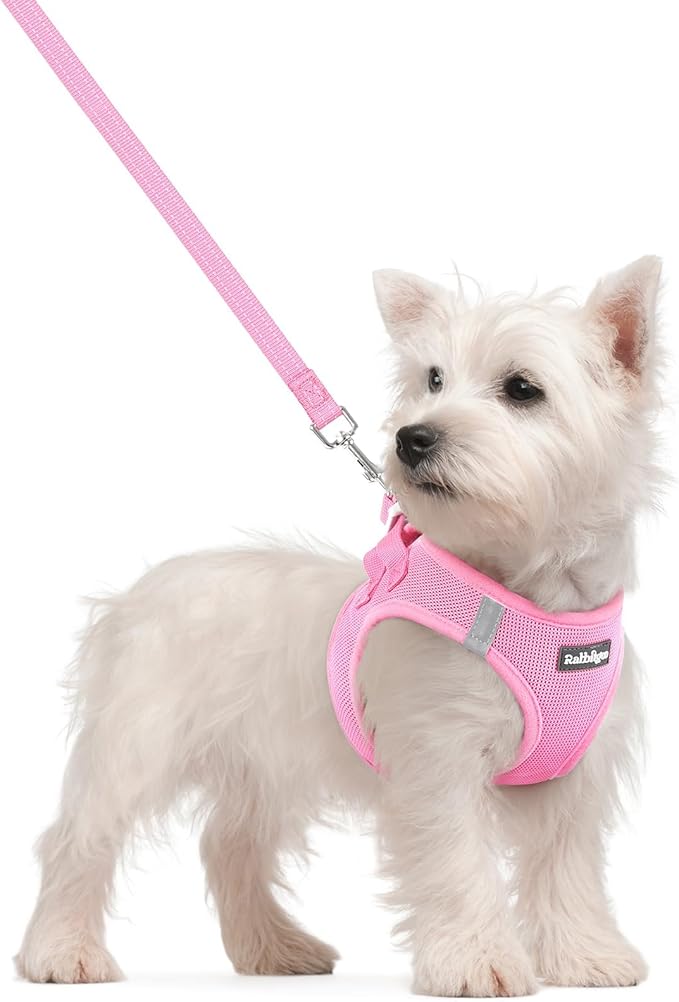 rabbitgoo Dog Harness Small Sized and Leash Set, Step in Soft Light Puppy Vest, Breathable Mesh Pet Harness, Reflective fo...