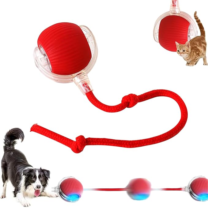 2025 New Interactive Dog Cat Toys Balls,Interactive Rolling Ball Cat Toy, 360° Smart Automatic Rolling Pet Ball, Fast Movi...